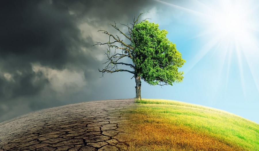 Marrocos está entre os países mais expostos à aceleração das alterações climáticas no Norte de África