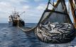 Pêche : le Gabon veut renégocier en profondeur son partenariat avec l’Union européenne