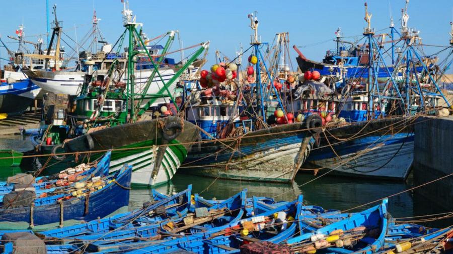 ميناء المهدية.. انخفاض الكميات المفرغة من منتجات الصيد