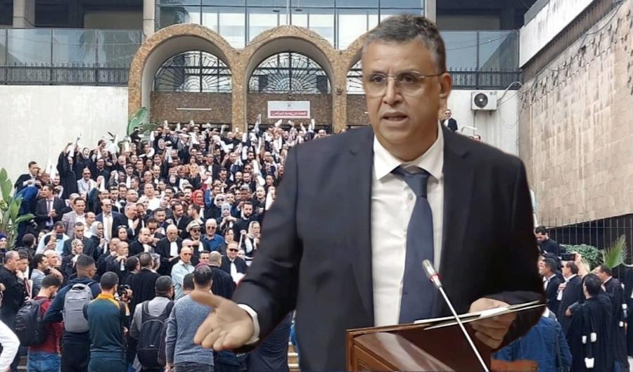 معركة كسر العظام بين المحامين ووهبي تصل إلى المقرر الأممي