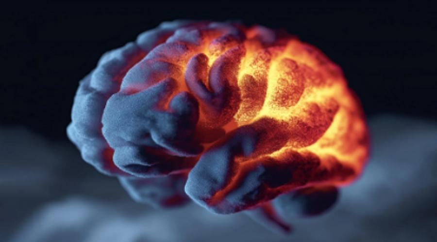 Scientists Reprogram Brain Immune Cells to Combat Alzheimer’s Disease, Study Finds