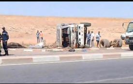 نفوق 4 خيول في انقلاب شاحنة بالبروج