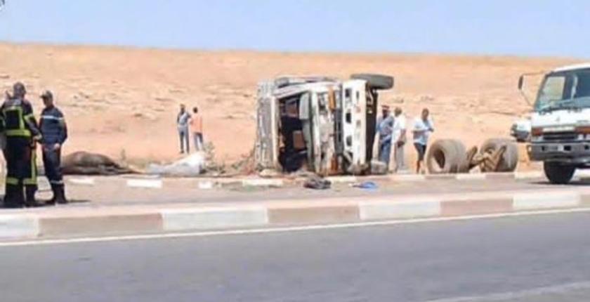 نفوق 4 خيول في انقلاب شاحنة بالبروج