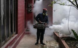 Sri Lanka reporta más de 1,000 casos de dengue en 24 horas mientras las autoridades sanitarias alertan sobre las condiciones de reproducción de mosquitos