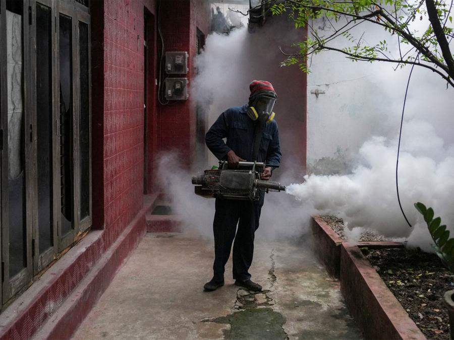 斯里兰卡在24小时内报告超过1000例登革热病例，卫生当局对蚊虫滋生状况发出警报