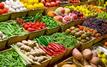 Le Maroc consolide sa place parmi les leaders mondiaux des exportations de légumes frais en 2025