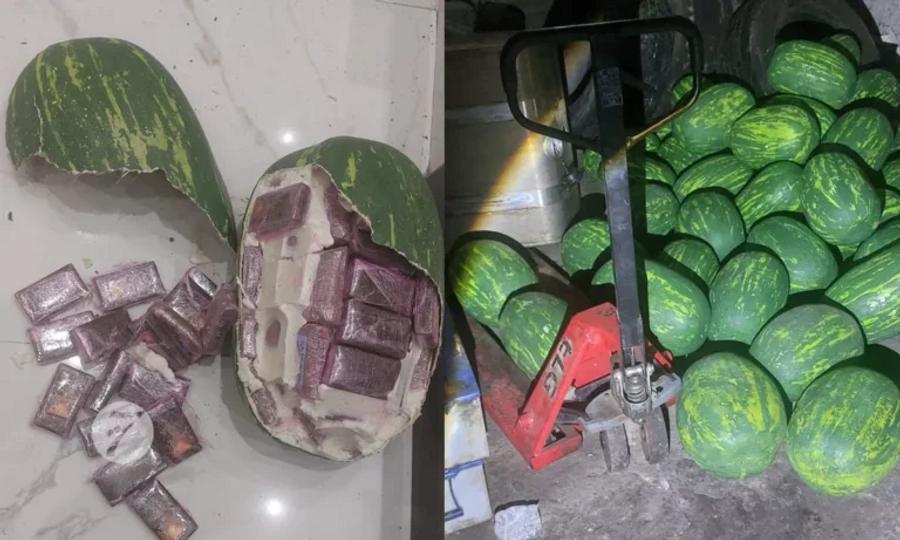 Massive drug trafficking ring exposed in Tangier after 700 kg chira seizure