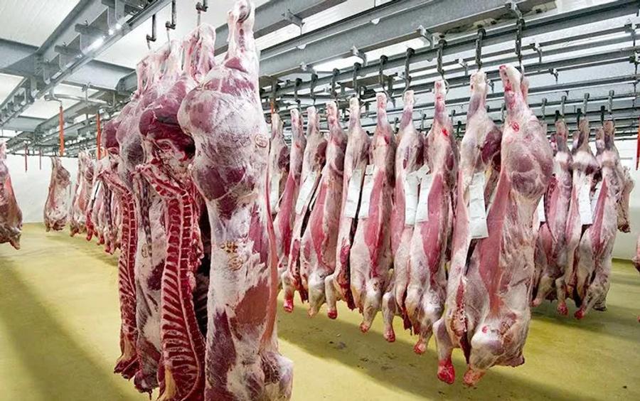 الداخلية تنهي فوضى المجازر بالمغرب