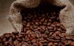 Le Maroc s’impose parmi les principaux importateurs mondiaux de café ougandais