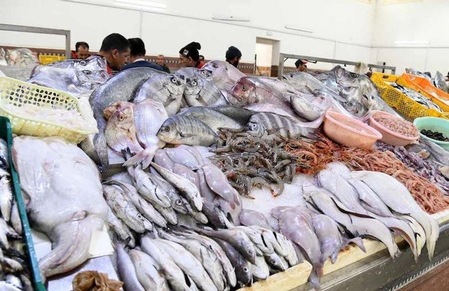 مطالب بكشف مصير 15 مليار سنتيم من عائدات مبادرة "الحوت بثمن معقول"