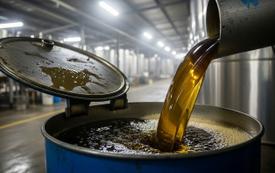 Le Maroc, premier importateur d’huile de soja européenne devant le Royaume-Uni