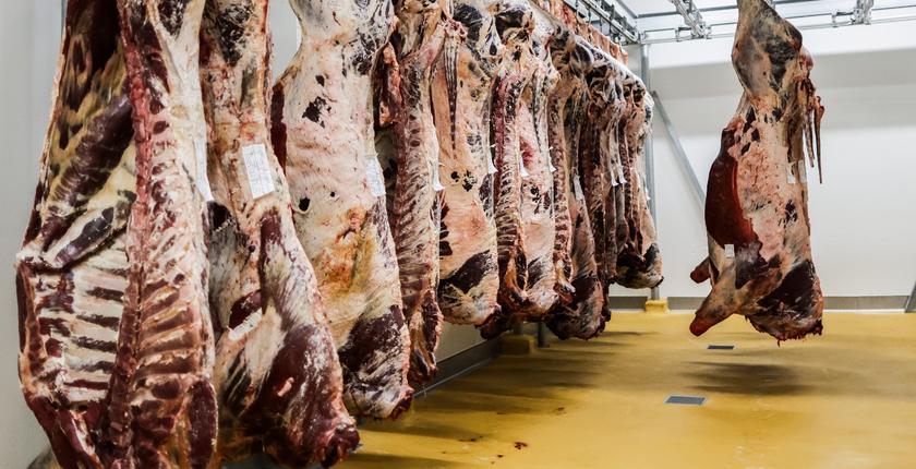 Marché de la viande ovine : entre promesses d'abondance et envolée des prix