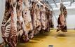 Marché de la viande ovine : entre promesses d'abondance et envolée des prix