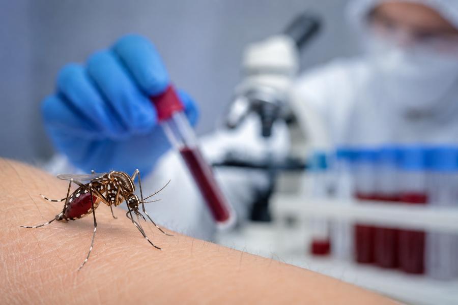 La Russie rassure après la détection d’un cas importé de dengue