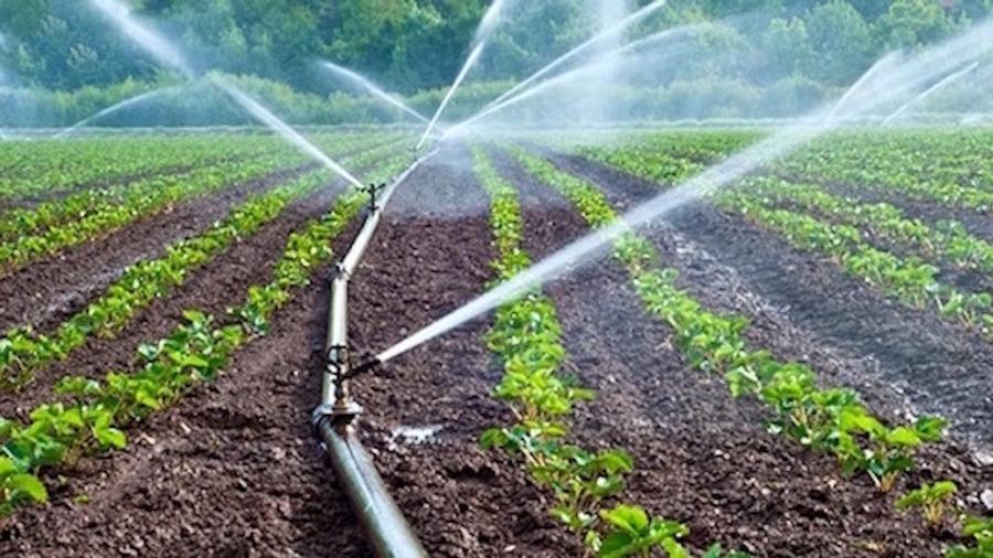 Le Ghana mise sur un nouveau régulateur pour moderniser son secteur semencier