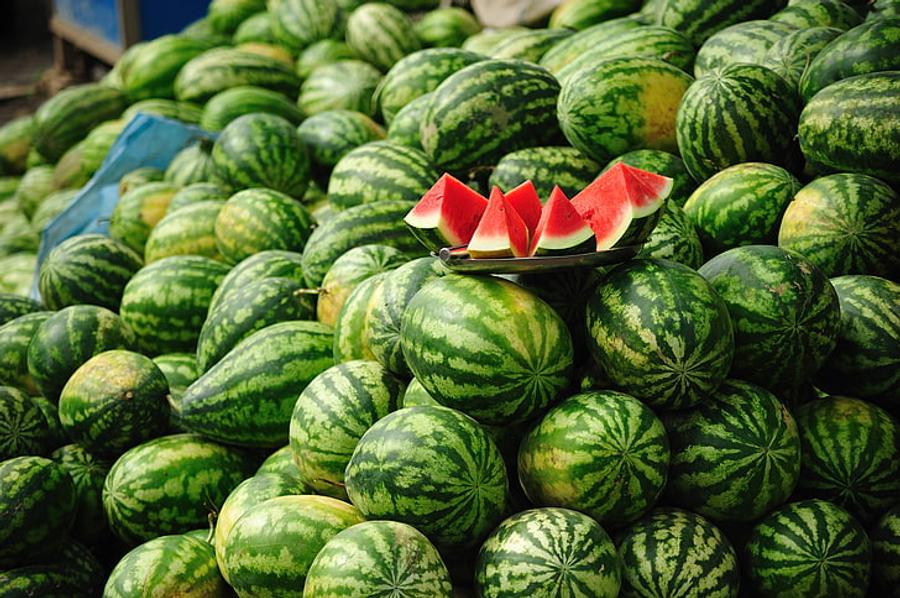 الدلاح المغربي الأرخص عالميا رغم ارتفاع صادراته إلى أوروبا
