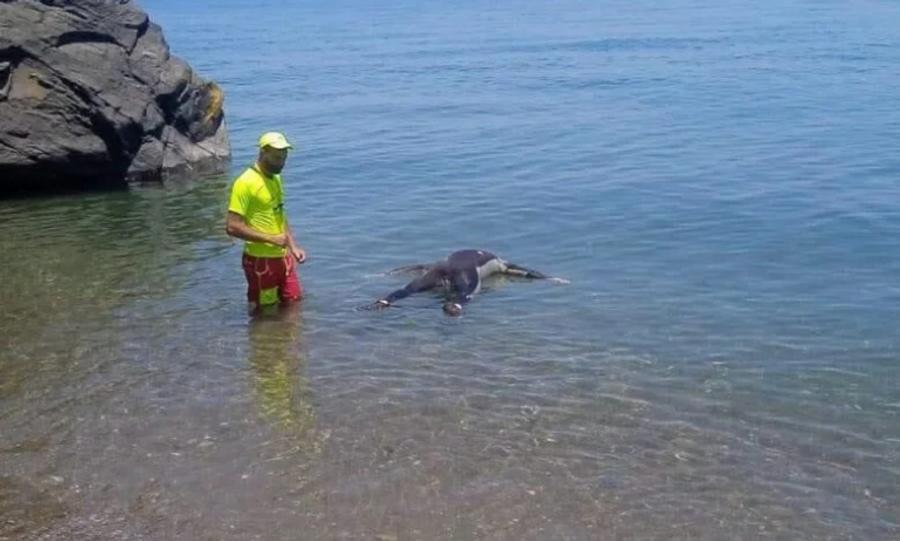 Chefchaouen : une dépouille découverte sur la plage d’Amtar, une enquête ouverte