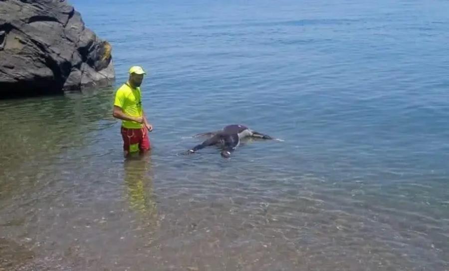 Unidentified body found on Amtar beach near Chefchaouen triggers investigation