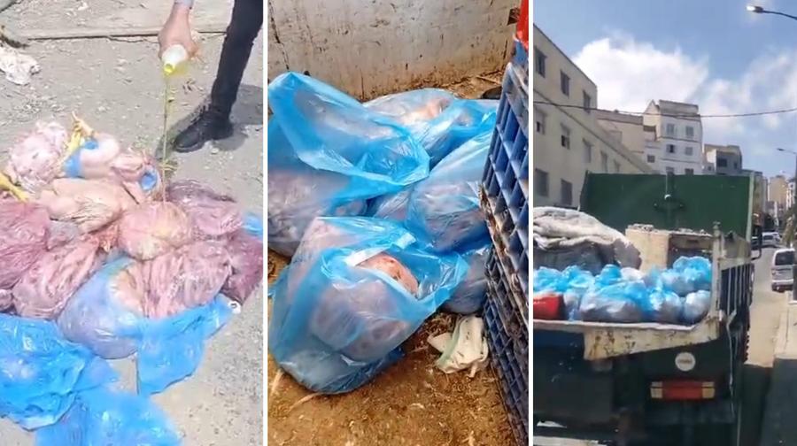 حجز أكثر من 120 كيلوغرام من الدجاج الفاسد بطنجة