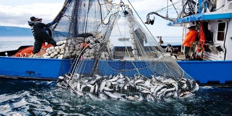     93 millions de dirhams pour moderniser la pêche artisanale et préserver la fraîcheur des captures