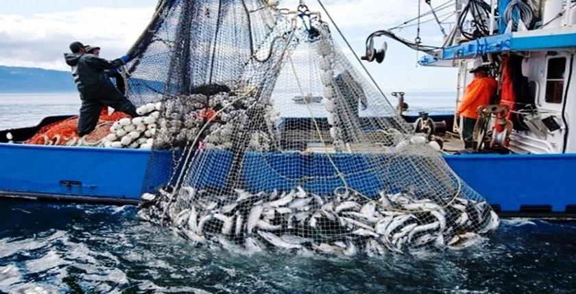     93 millions de dirhams pour moderniser la pêche artisanale et préserver la fraîcheur des captures