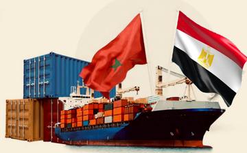 مسؤول بـ"أونسا": 20% فقط من الواردات المصرية للمغرب خضعت للمراقبة المخبرية