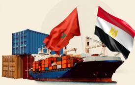 مسؤول بـ"أونسا": 20% فقط من الواردات المصرية للمغرب خضعت للمراقبة المخبرية