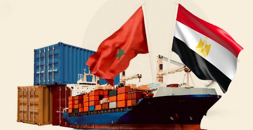 مسؤول بـ"أونسا": 20% فقط من الواردات المصرية للمغرب خضعت للمراقبة المخبرية