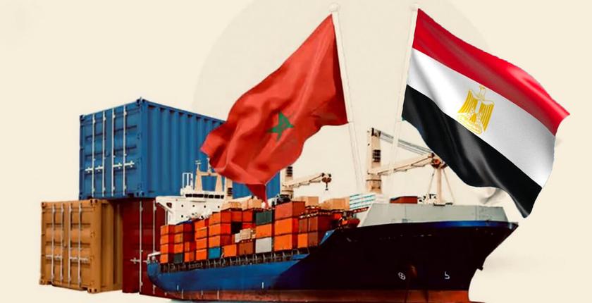 مسؤول بـ"أونسا": 20% فقط من الواردات المصرية للمغرب خضعت للمراقبة المخبرية
