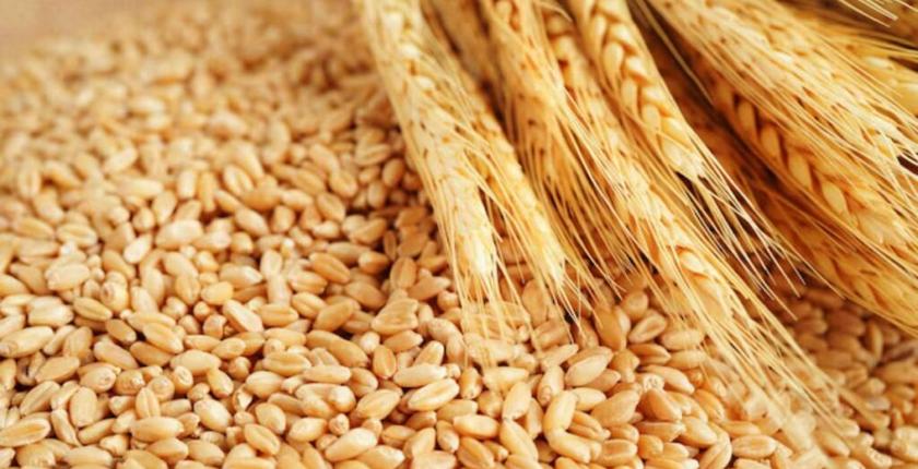 Blé tendre : le Maroc rétablit un droit d’importation de 170 %