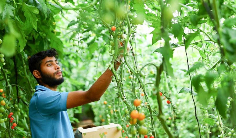 La economía marroquí crece impulsada por agricultura e inversión