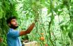 Morocco economy grows 4.9 percent on agriculture rebound and investment surge