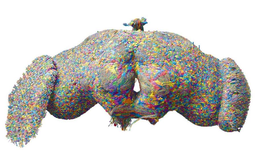 Harvard and Princeton map entire drosophila nervous system neurons