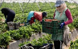 Moroccan seasonal worker dies in Huelva heat conditions