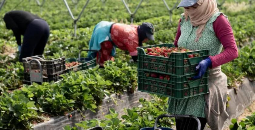 Moroccan seasonal worker dies in Huelva heat conditions