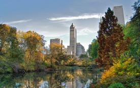 Free World Cup 2026 fan zone set for Central Park final viewing