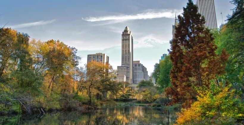 Free World Cup 2026 fan zone set for Central Park final viewing