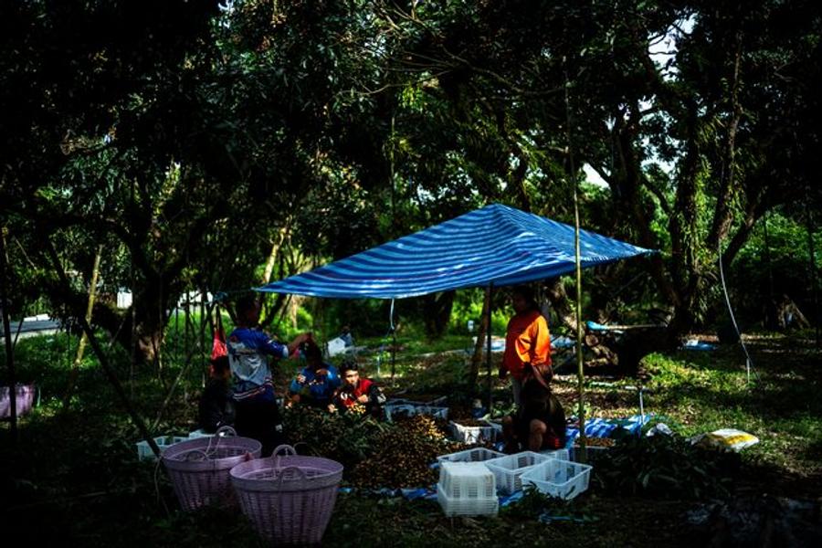 Thai employment opportunities for Myanmar refugees could inspire regional solutions, says UN