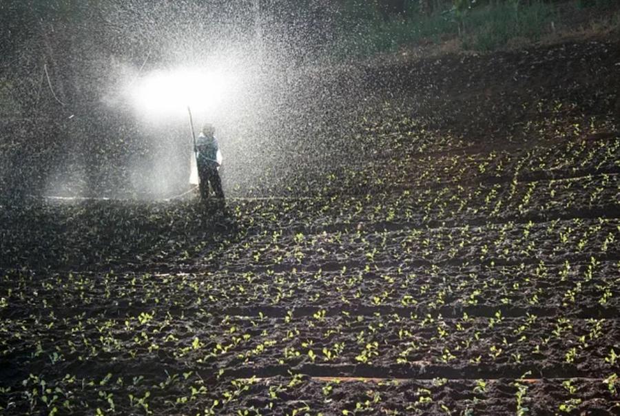 OCP secures 60,000-ton fertilizer deal with Bangladesh