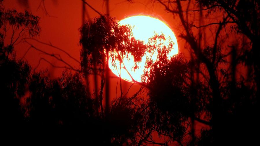 Portugal bate recorde histórico de temperatura máxima