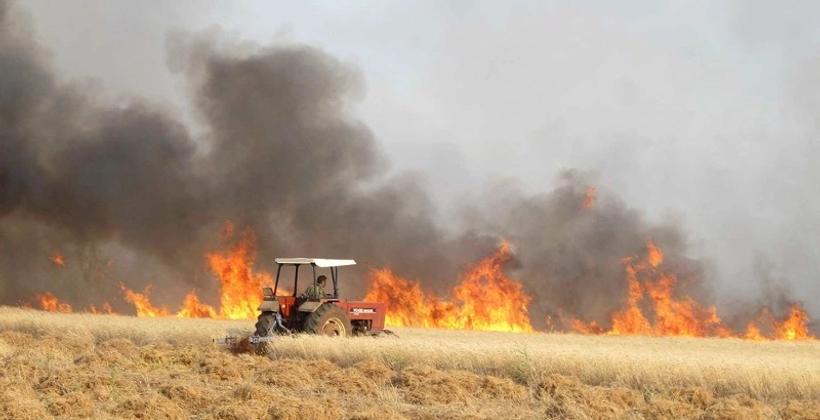 حرائق إقليم السطات تجر البواري إلى البرلمان