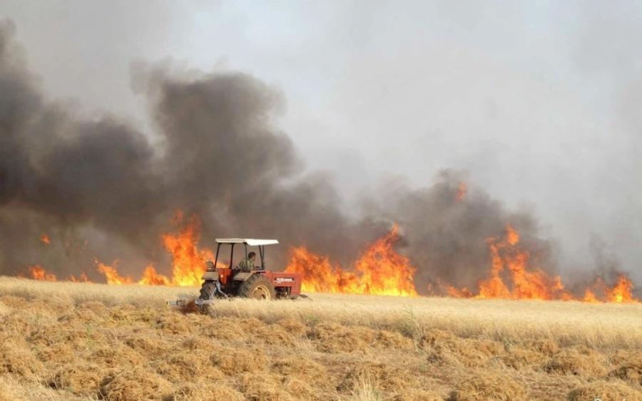 حرائق إقليم السطات تجر البواري إلى البرلمان
