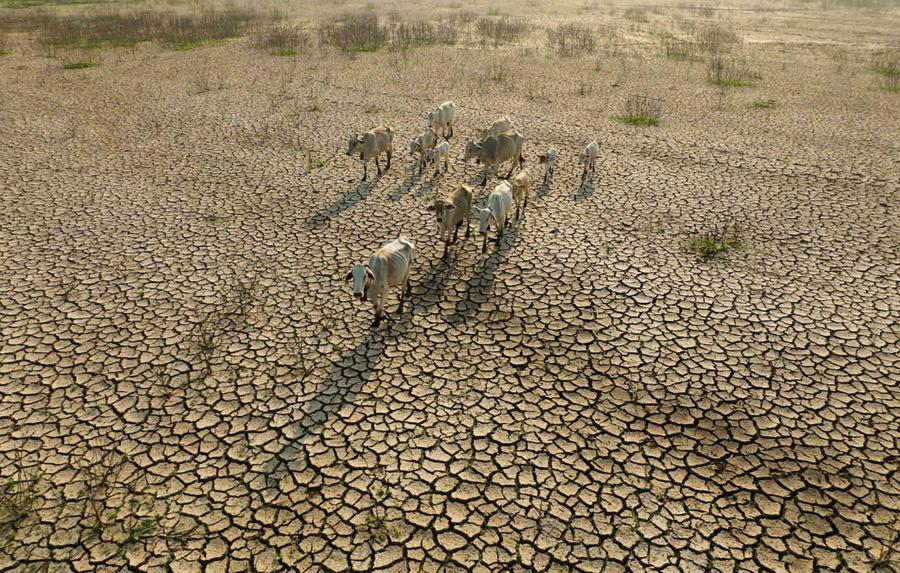 El Niño and Hormuz crisis threaten global food security