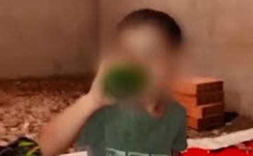 10 سنوات سجنا نافذا للأشقاء الثلاثة في قضية تحريض طفل على الكحول