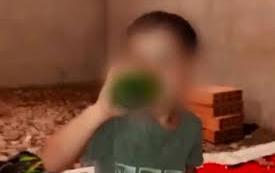 10 سنوات سجنا نافذا للأشقاء الثلاثة في قضية تحريض طفل على الكحول