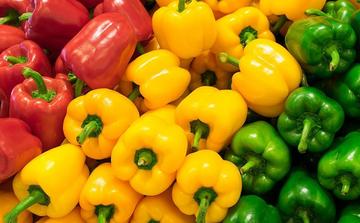 Exportations agricoles : la percée marocaine en Norvège et en Finlande se confirme