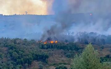 Marrakech-Safi renforce sa vigilance face aux risques accrus d’incendies de forêts