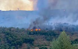 Marrakech-Safi renforce sa vigilance face aux risques accrus d’incendies de forêts