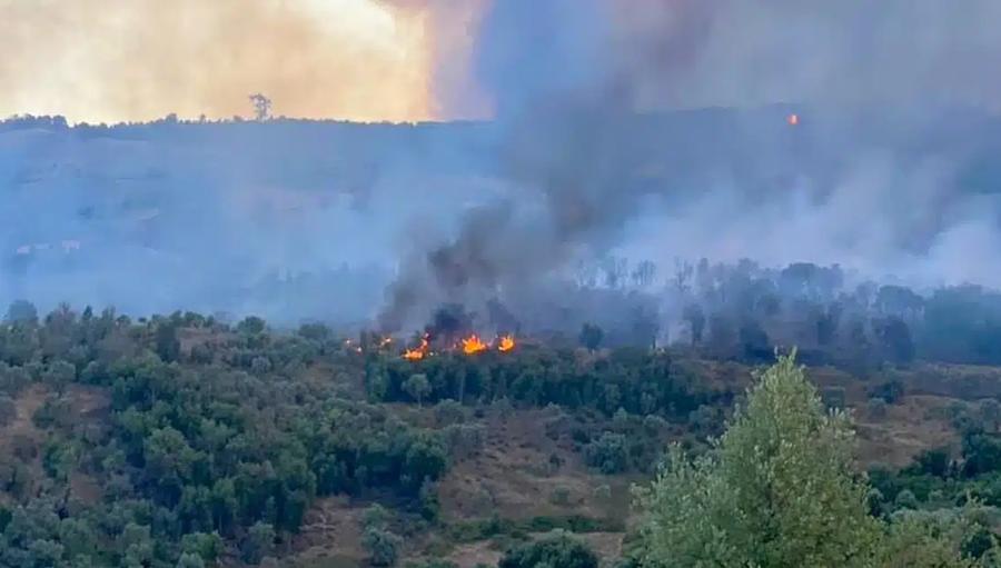 Marrakech-Safi renforce sa vigilance face aux risques accrus d’incendies de forêts