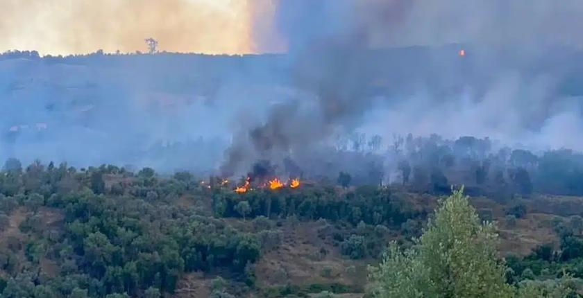 Marrakech-Safi renforce sa vigilance face aux risques accrus d’incendies de forêts